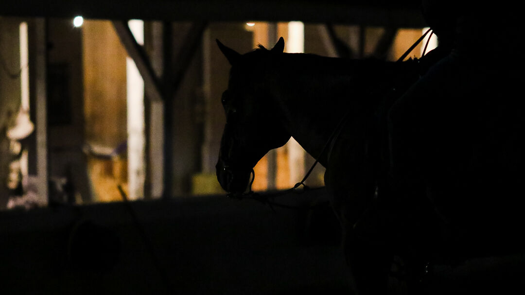 Churchill Downs training 6.jpg